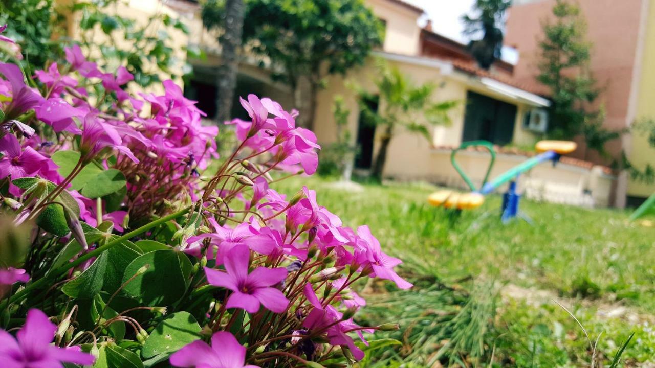 Apartmani Koin Medulin Exterior photo